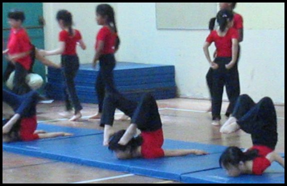 Gym 014.jpg